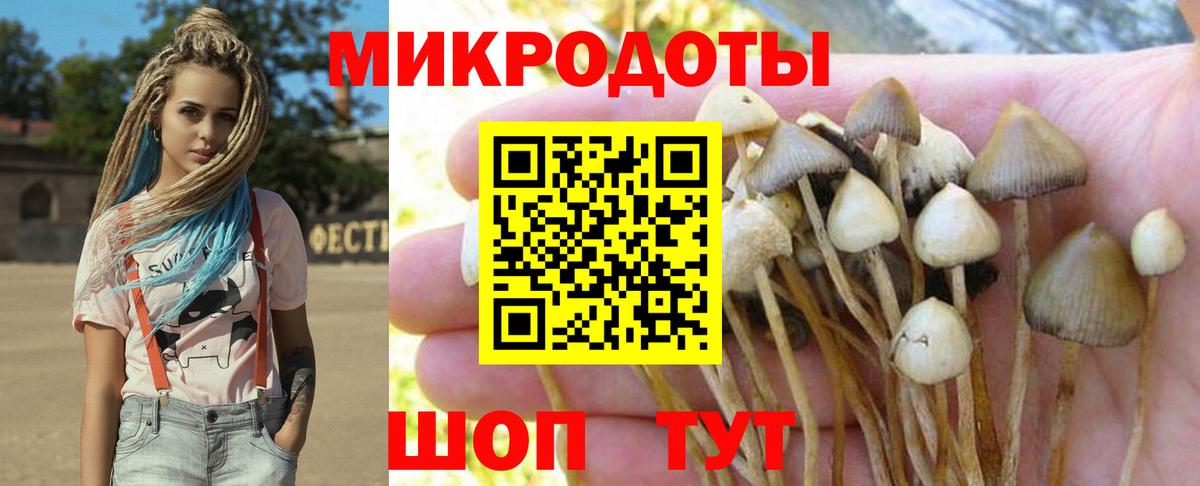Феодосия  Псилоцибиновые грибы Psilocybe  Вход с VPN 